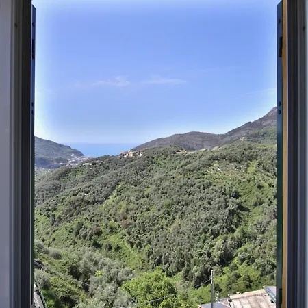 Mamaamelia Levanto